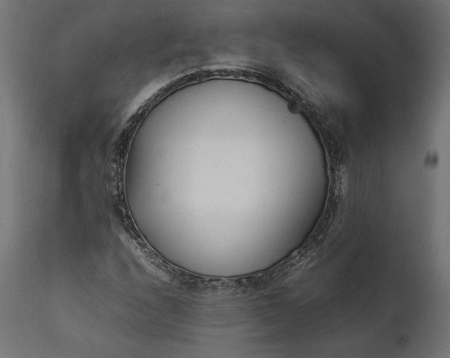 X0000111531208200907281354