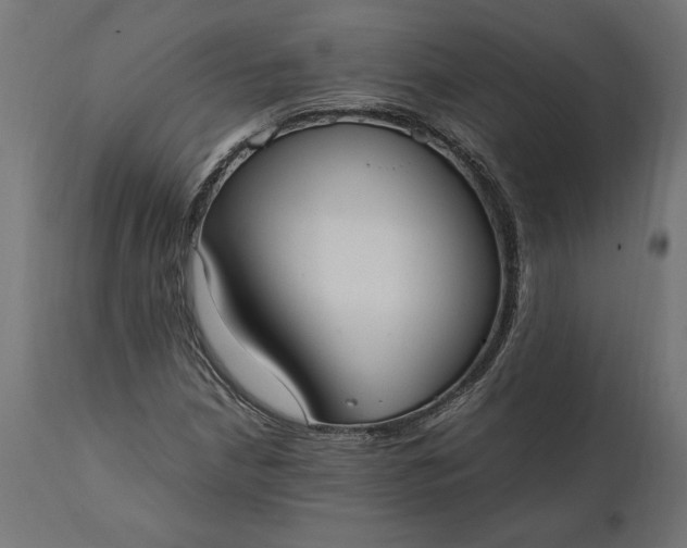 X0000111531210200907281354