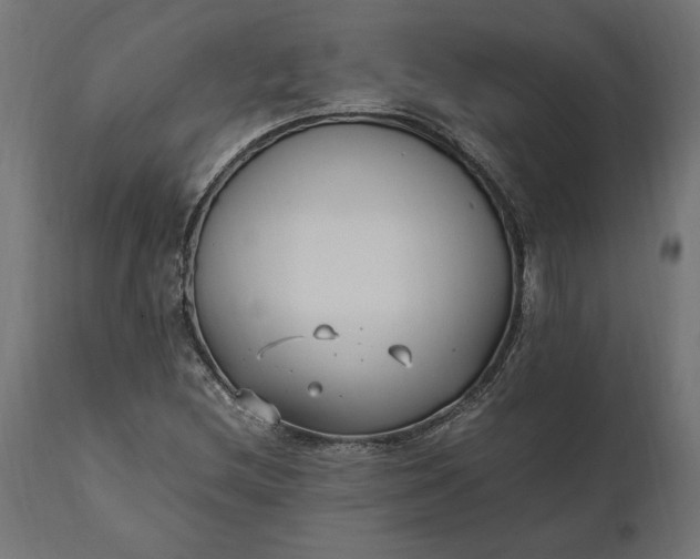 X0000111531212200907281354