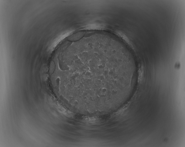 X0000111531213200907281354