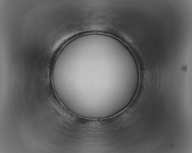 X0000111531214200907281354