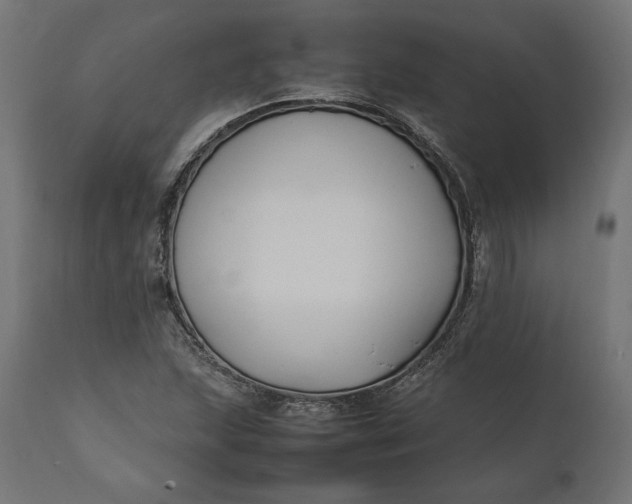 X0000111531215200907281354