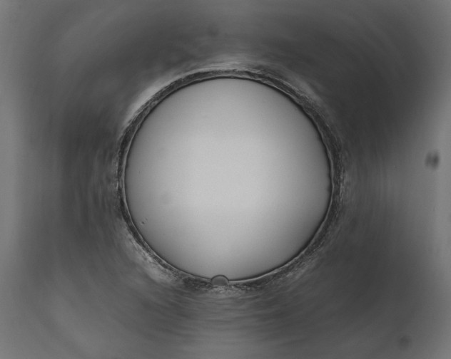 X0000111531216200907281354