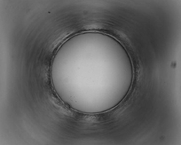 X0000111531217200907281355