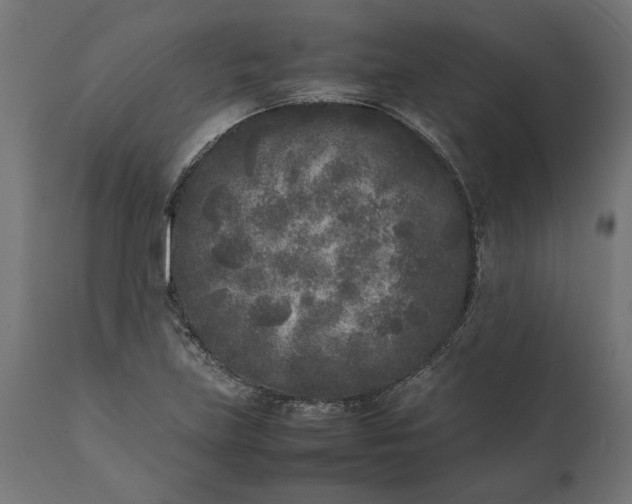 X0000111531219200907281355