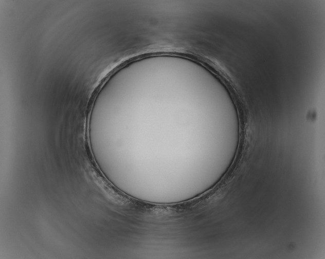 X0000111531220200907281355