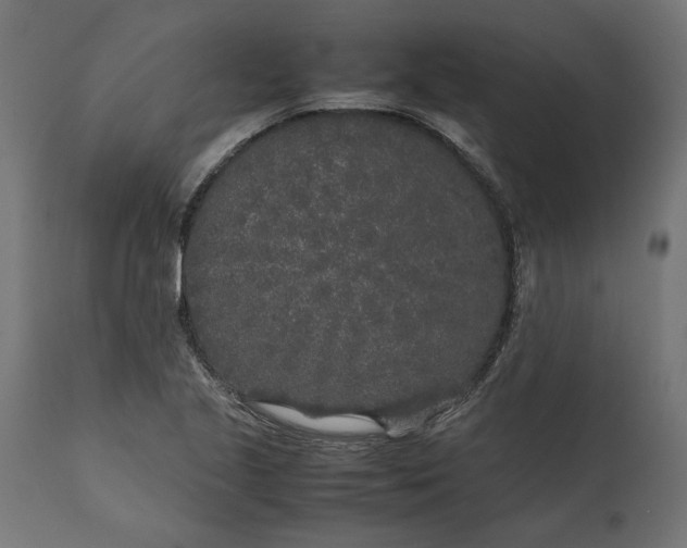 X0000111531221200907281355