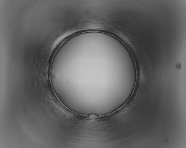 X0000111531222200907281355