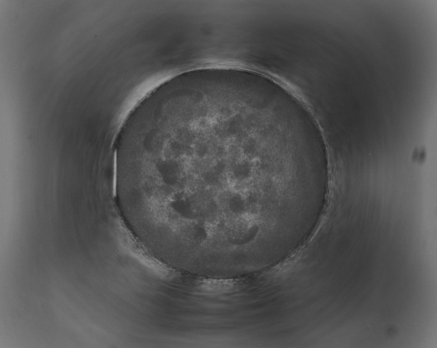 X0000111531223200907281355