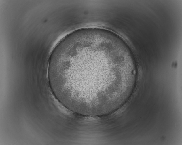 X0000111531224200907281355