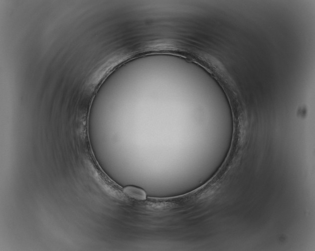 X0000111531225200907281355