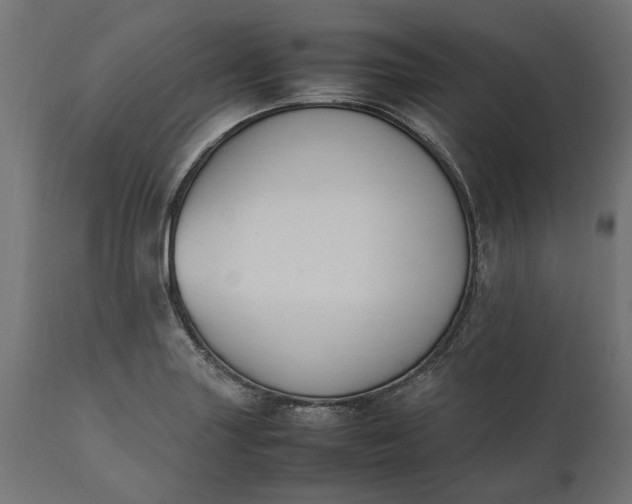 X0000111531227200907281355