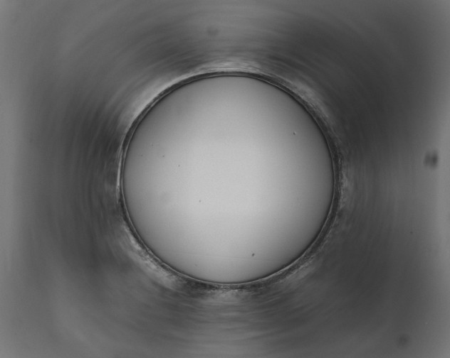 X0000111531228200907281355