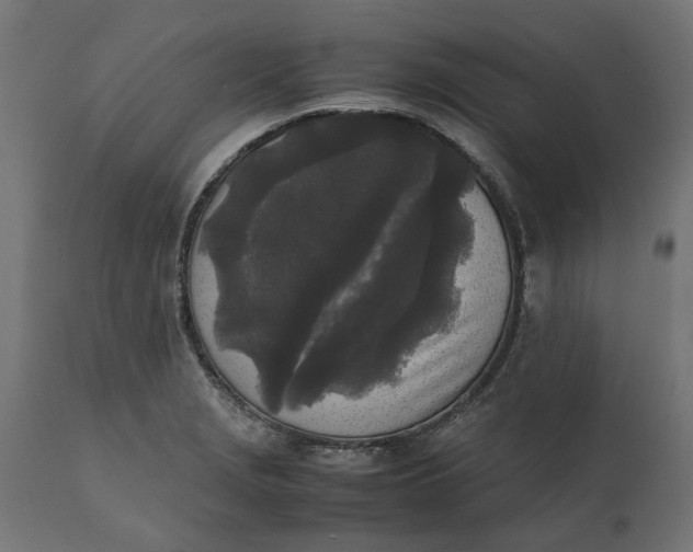 X0000111531229200907281355