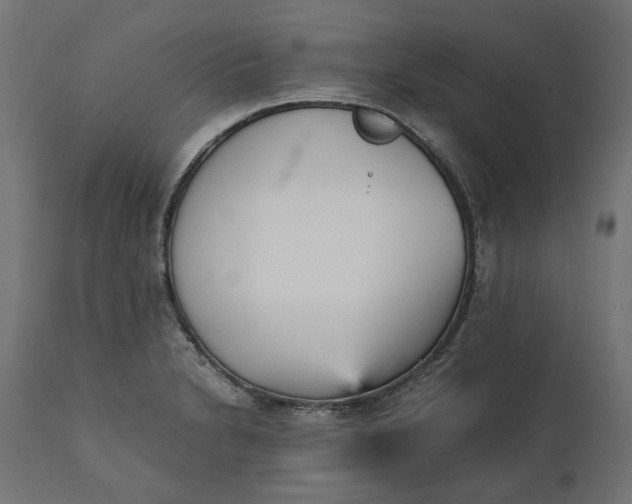 X0000111531230200907281355