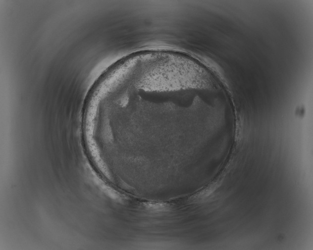 X0000111531231200907281355