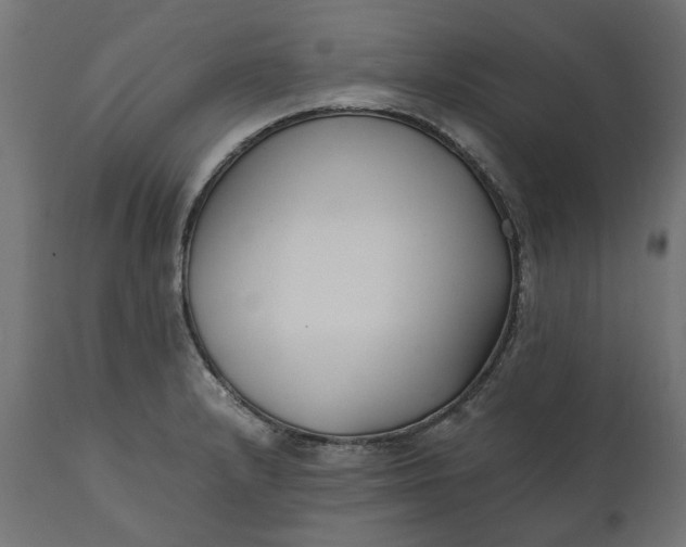 X0000111531232200907281355