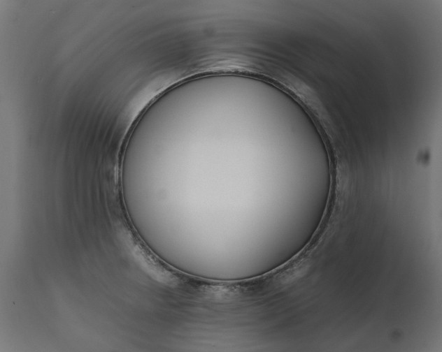 X0000111531234200907281355