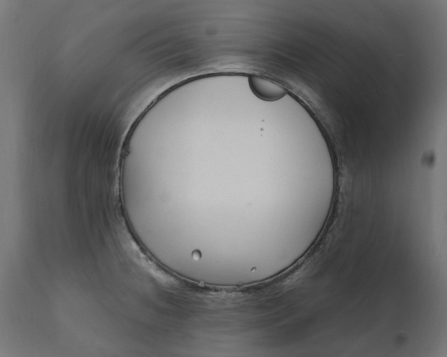 X0000111531236200907281355