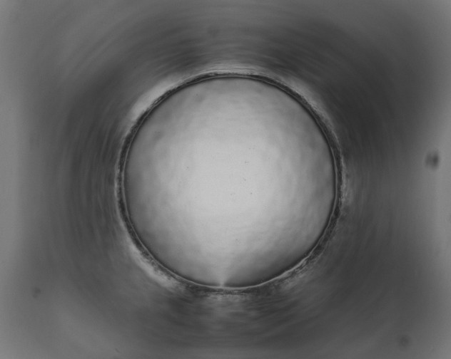 X0000111531237200907281355