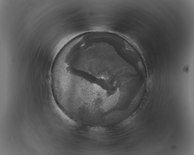 X0000111531239200907281355