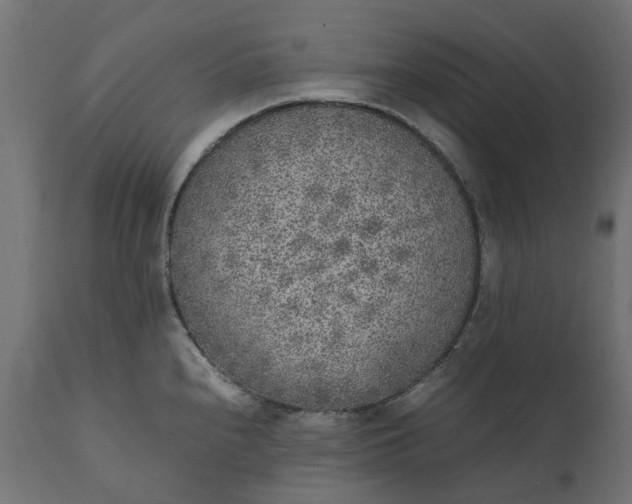 X0000111531240200907281355