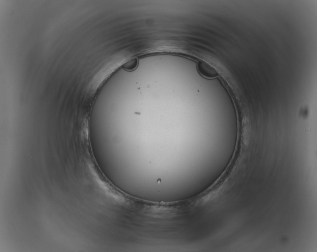 X0000111531241200907281355