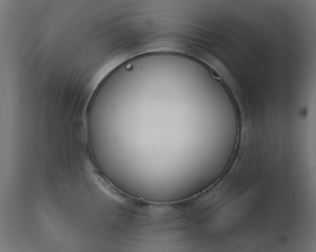 X0000111531242200907281355