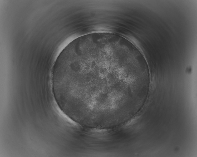 X0000111531243200907281355