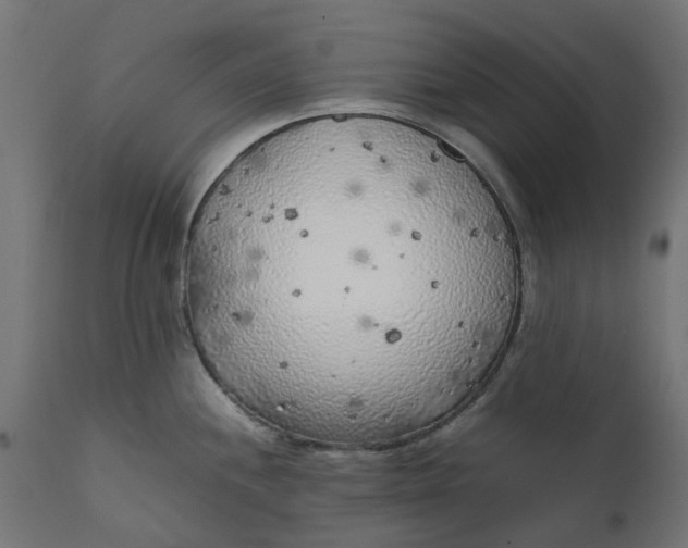 X0000111531244200907281355