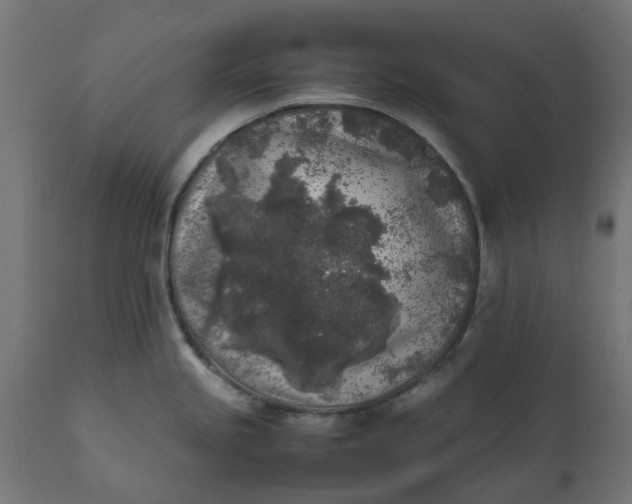 X0000111531245200907281355