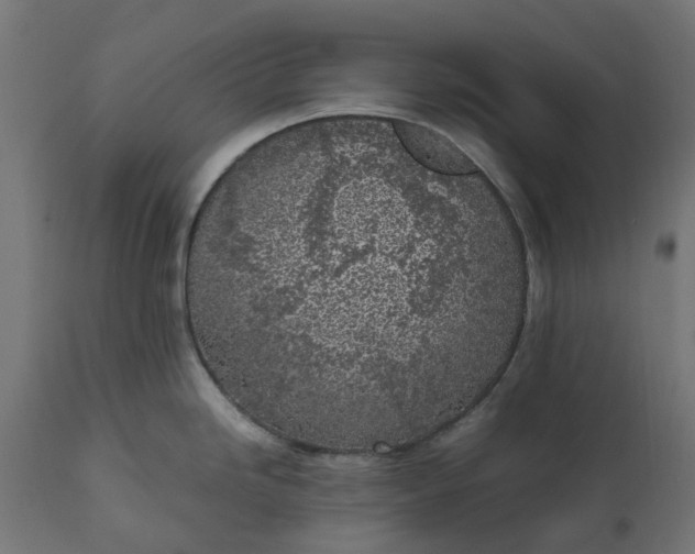 X0000111531246200907281355