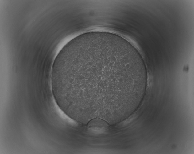 X0000111531247200907281355