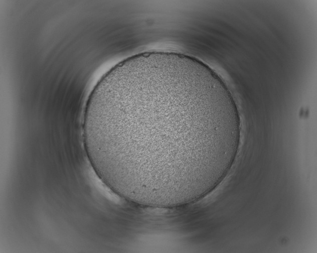 X0000111531248200907281355