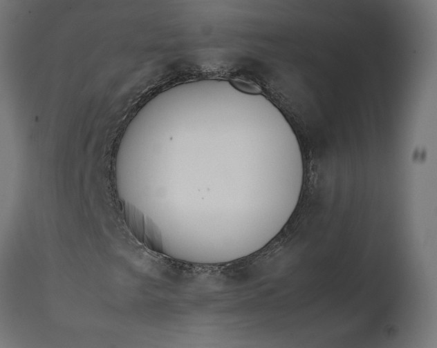 X0000111531249200907281354