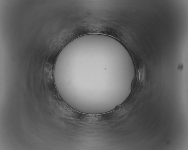 X0000111531251200907281354