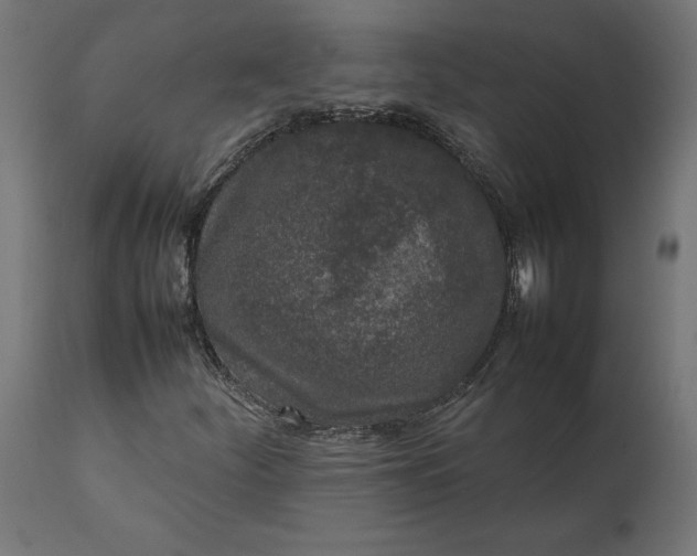 X0000111531252200907281354