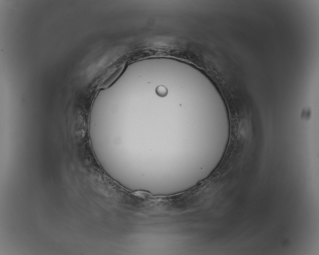 X0000111531253200907281354