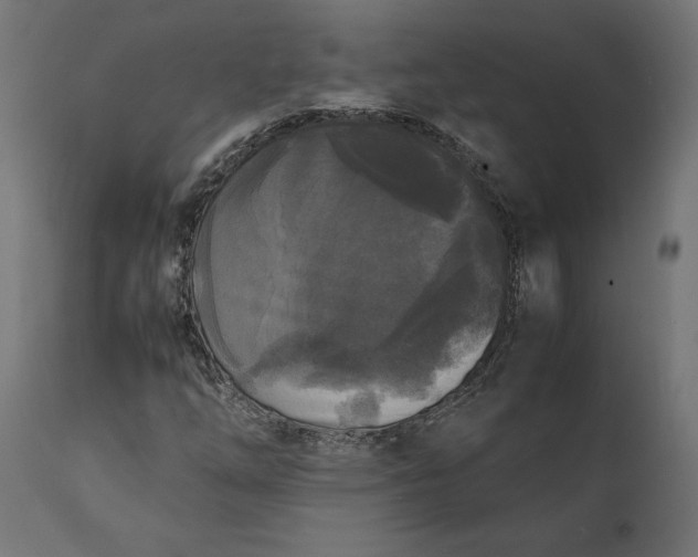 X0000111531254200907281354