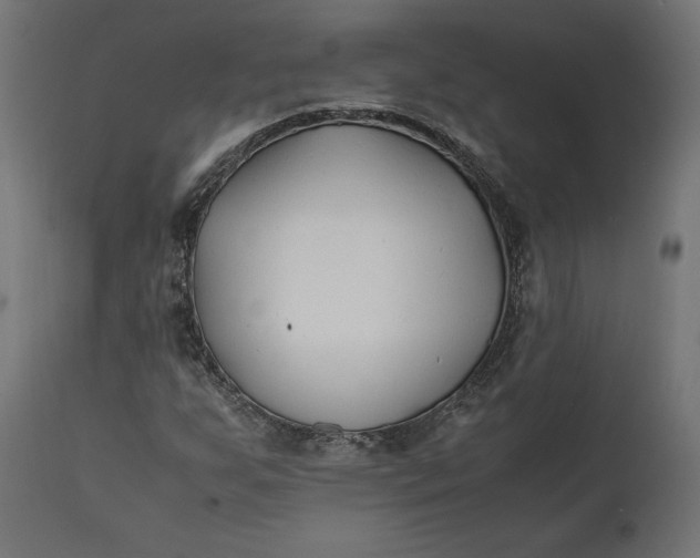 X0000111531255200907281354