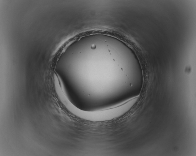 X0000111531256200907281354