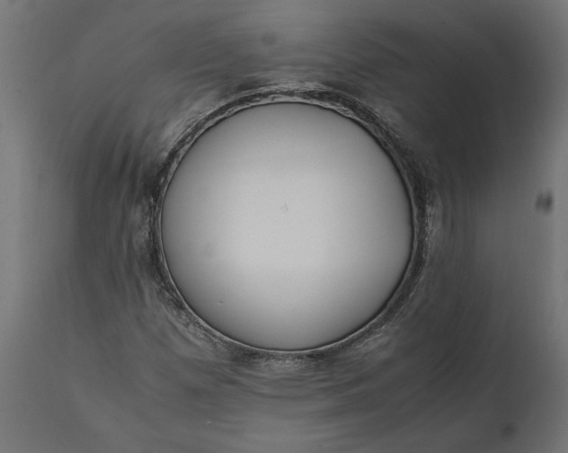 X0000111531257200907281354