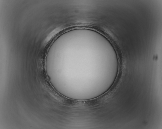 X0000111531259200907281354