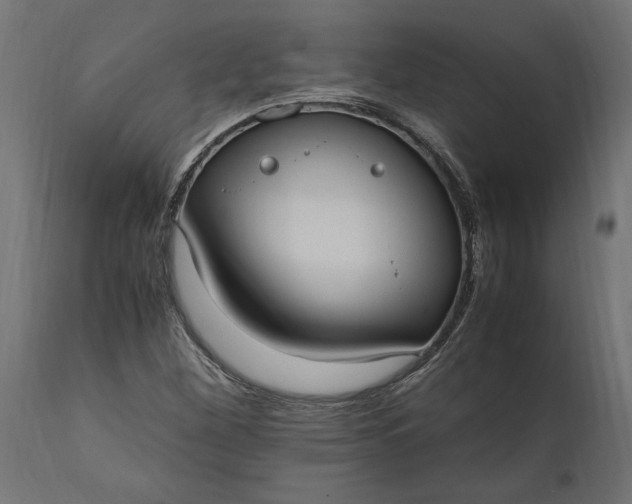 X0000111531260200907281354