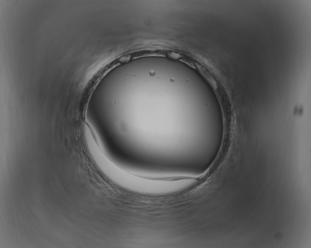 X0000111531261200907281354