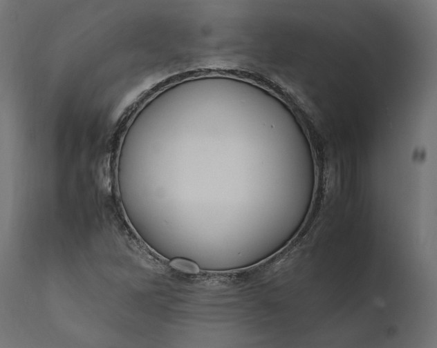 X0000111531262200907281354