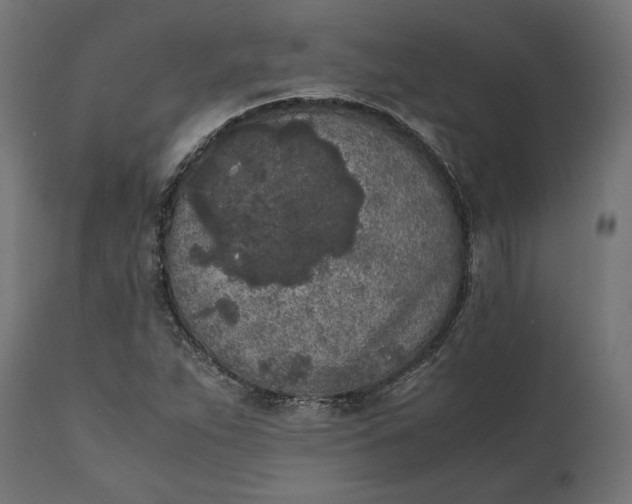 X0000111531263200907281354