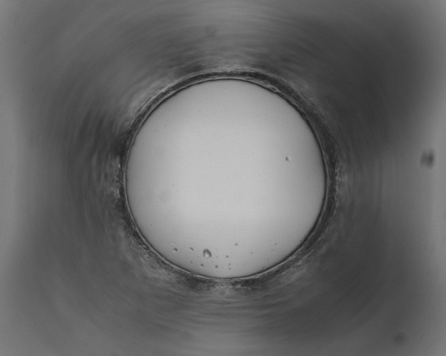 X0000111531265200907281354