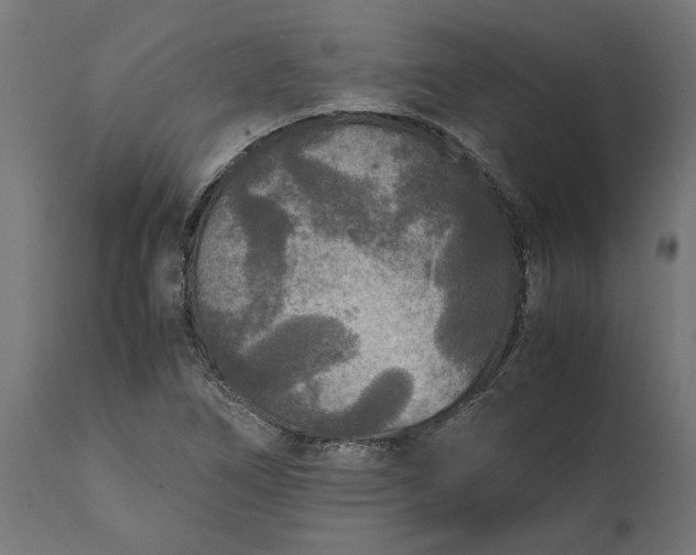 X0000111531266200907281354