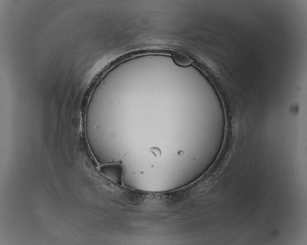 X0000111531267200907281354